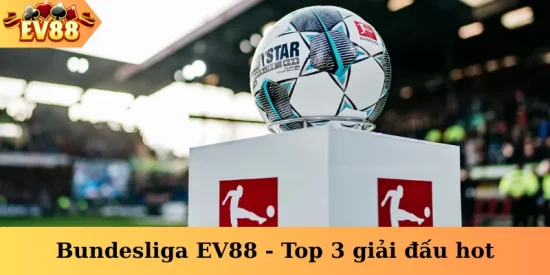 Bundesliga EV88
