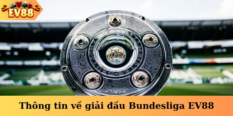Thông tin về giải đấu Bundesliga EV88